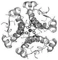 一种稳定的胰岛素解聚体超分子复合物及其制备方法与流程
