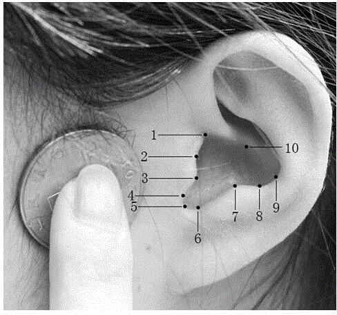 一种耳甲腔特征参数获取方法与流程