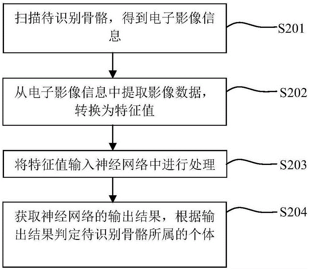 一種生物骨骼識(shí)別方法、裝置及系統(tǒng)與流程