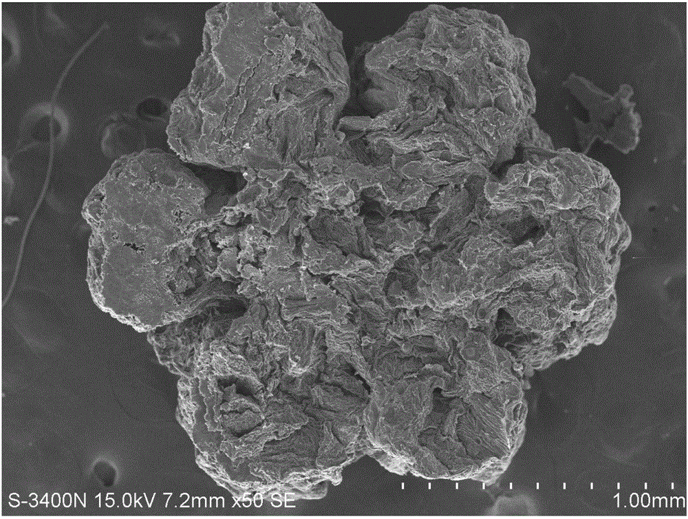 一种碱性氧化物表面修饰蚕沙基多级孔炭材料及其制备方法与应用与流程