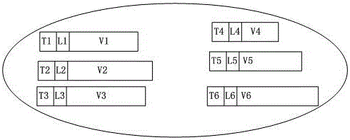 一種TLV格式數(shù)據(jù)的組包方法及系統(tǒng)與流程