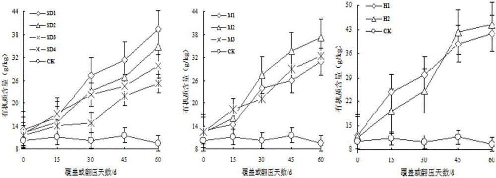 一种蕉肥绿色轻简种植利用方法与流程