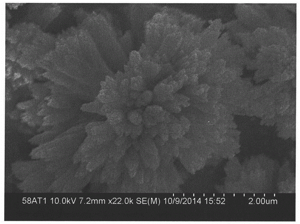 一种花状氧化铜纳米晶体的制备方法与流程