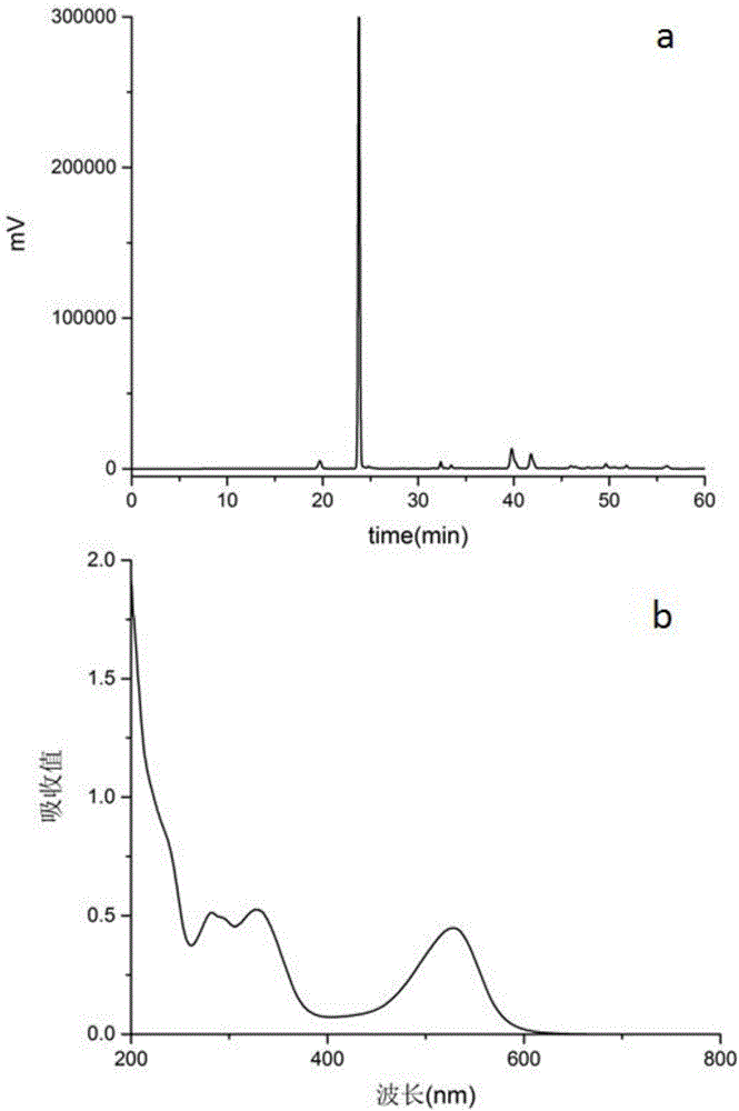 紫甘蓝花色苷单体的分离纯化方法与流程