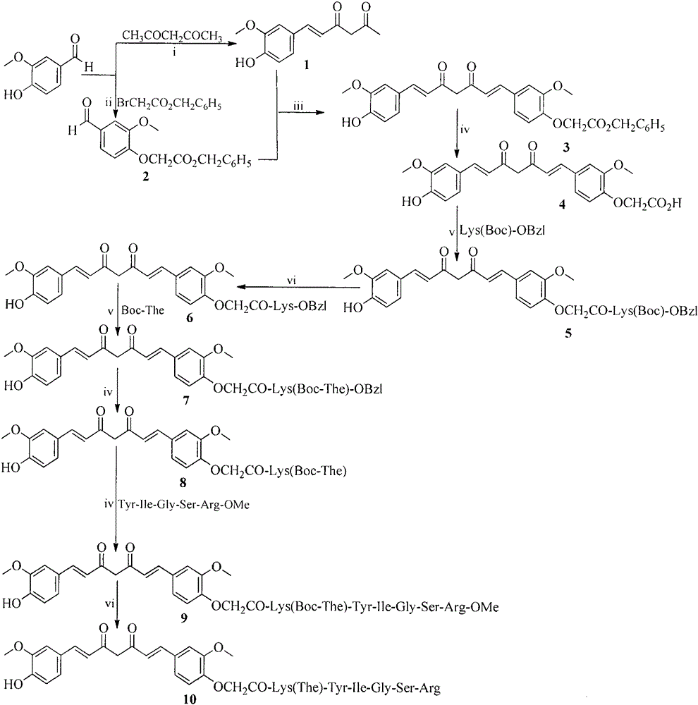 YIGSR修饰的姜黄素,其制备,生物活性和应用的制作方法与工艺