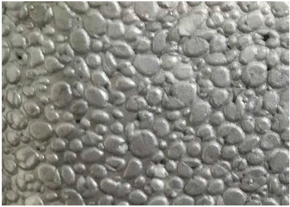 一种银灰色抗静电型发泡聚丙烯珠粒的制备方法与流程