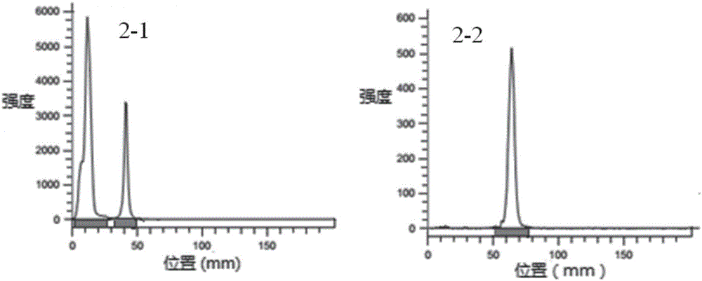 [18F]氟标记的异喹啉类化合物及其制备方法与流程