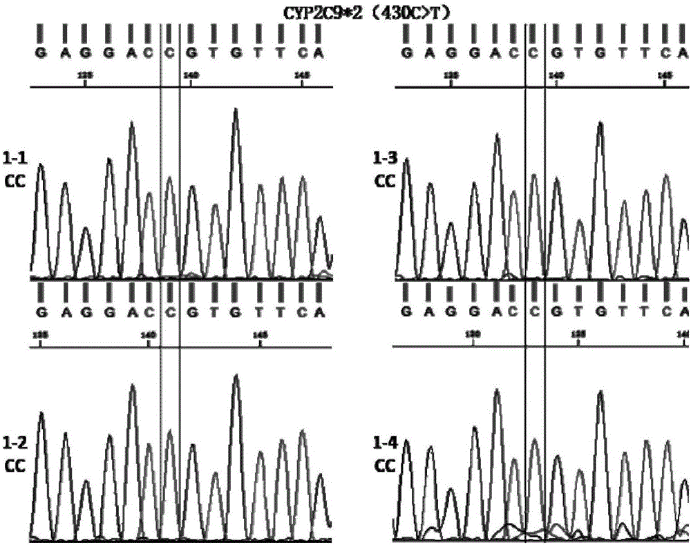 用于華法林個體化用藥相關基因SNP檢測的試劑盒及其檢測方法與流程