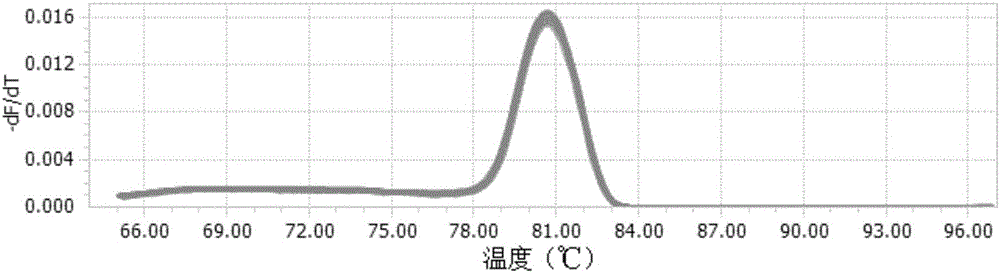 GmGAPC1基因片段作为秦艽在不同生长时期稳定表达的内参基因的应用的制作方法与工艺