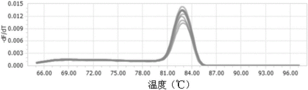 GmACT7基因片段作為秦艽葉在不同誘導(dǎo)子處理?xiàng)l件下穩(wěn)定表達(dá)的內(nèi)參基因的應(yīng)用的制作方法與工藝