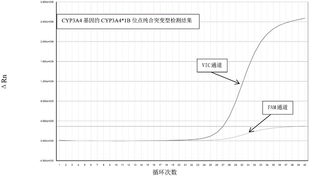 檢測人CYP3A4基因分型的試劑盒及其檢測方法與流程