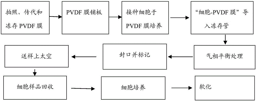 用于航天生物育种的家畜成纤维细胞培养方法与流程