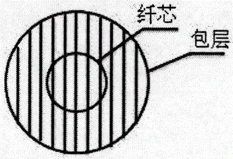 微型光纖光柵光譜儀的制作方法與工藝