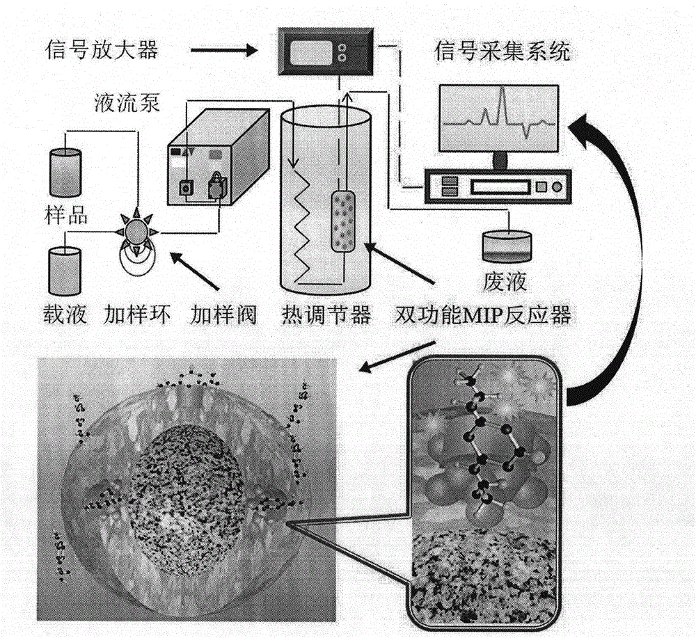 一种检测农药阿特拉津残留的量热仿生检测方法与流程