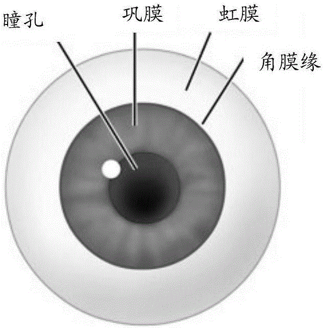 信息處理方法及電子設(shè)備與流程