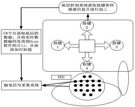 一種用于腦機(jī)接口實(shí)驗(yàn)研究的手臂位置記錄裝置的制作方法