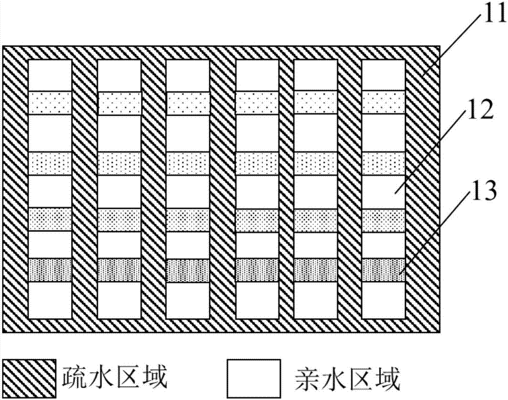 一种免疫印迹的自动检测系统的制作方法与工艺