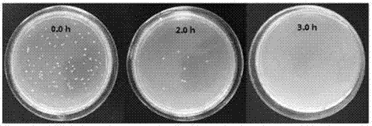 一种2‑氨基苯并咪唑杀菌微球及其合成方法和应用与流程