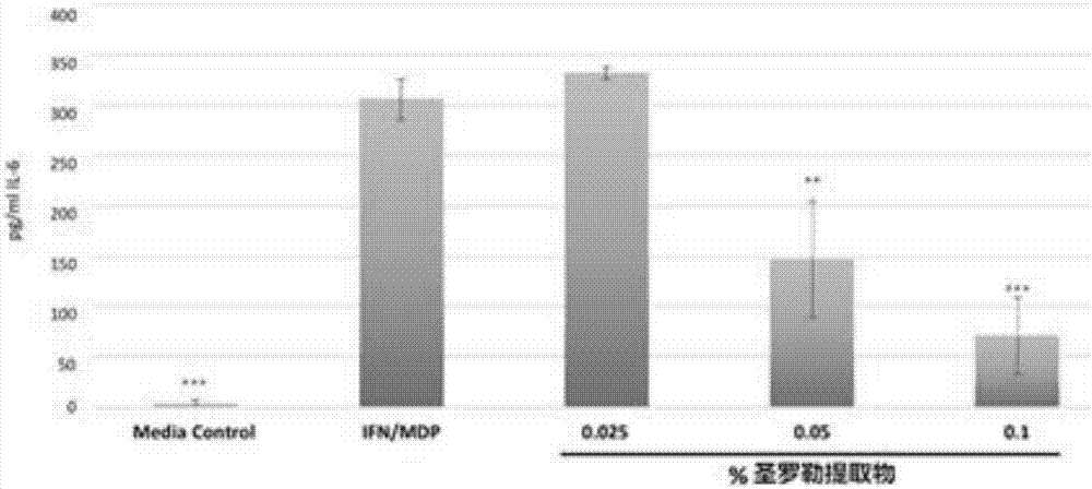 一种含有圣罗勒提取物的护肤品及其制备的制作方法与工艺