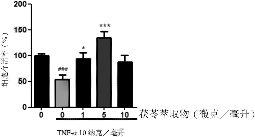 茯苓萃取物及土莫酸于保护肌肉的用途的制作方法与工艺