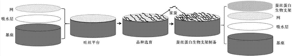 一種蠶絲蛋白生物支架及其制備方法和應(yīng)用與流程