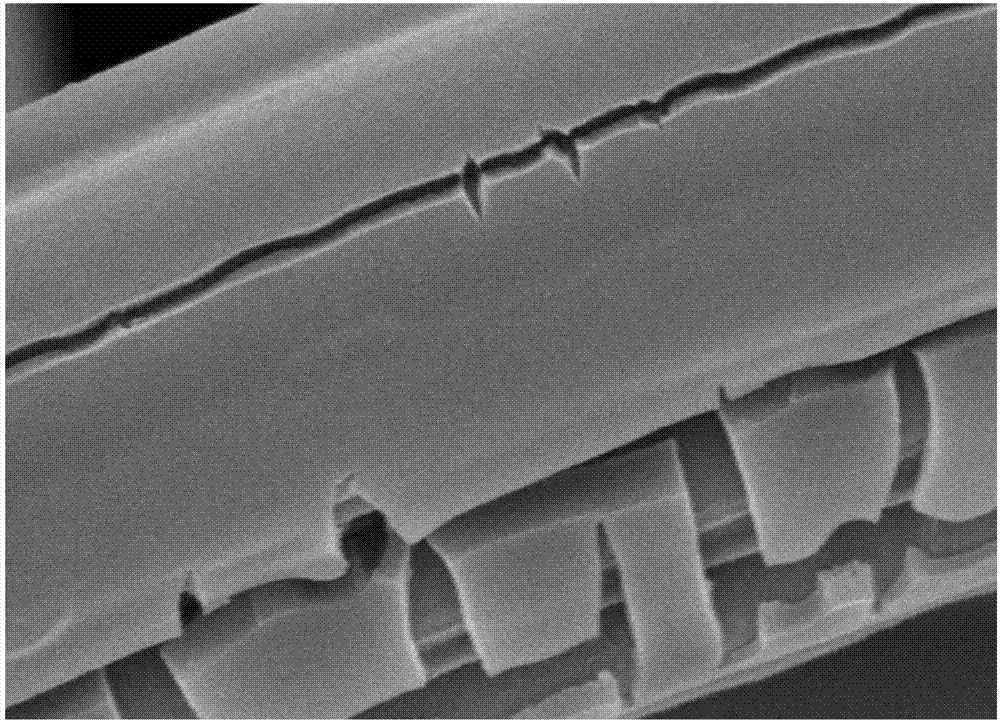 一种以活性炭纤维为载体的TiO2纳米棒光催化网的制备方法与流程