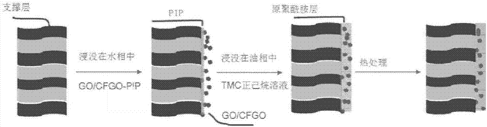 一种羧基化氧化石墨烯纳滤膜及其制备和应用的制作方法与工艺