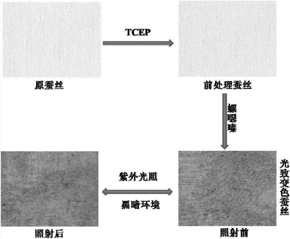 一种光致变色织物的制备方法与流程