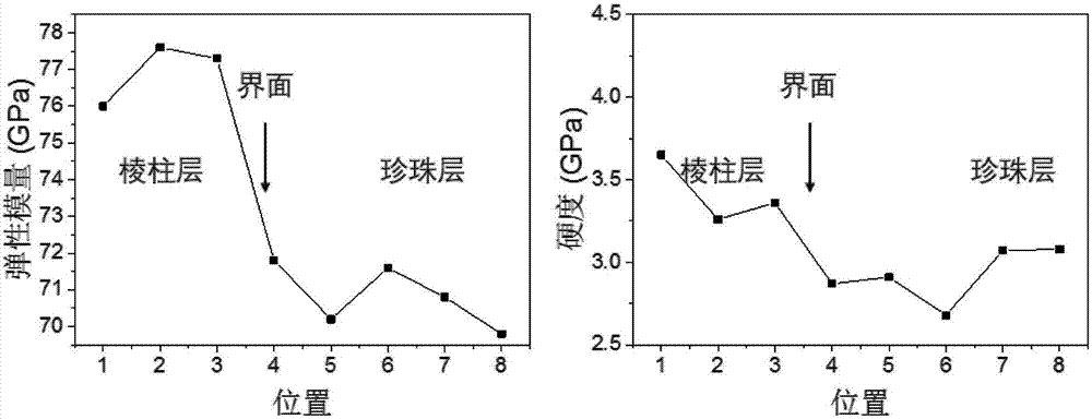 贝壳材料微观形貌和力学性能分析的样品制备和表征方法与流程