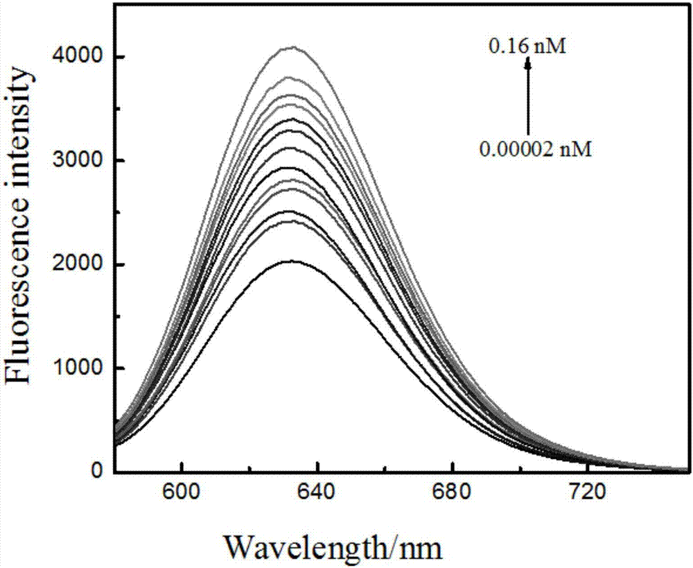一种基于T‑Hg(Ⅱ)‑T结构的AgNCs探针超灵敏检测汞离子的方法与流程
