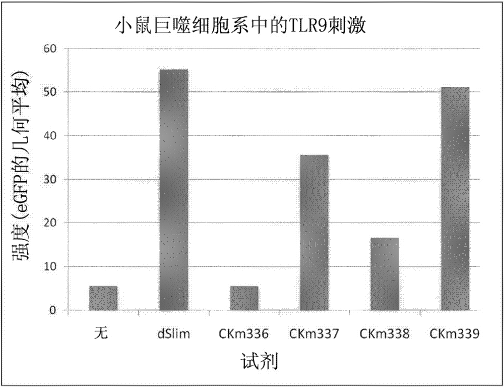 非編碼免疫調節(jié)DNA 構建體的制作方法與工藝