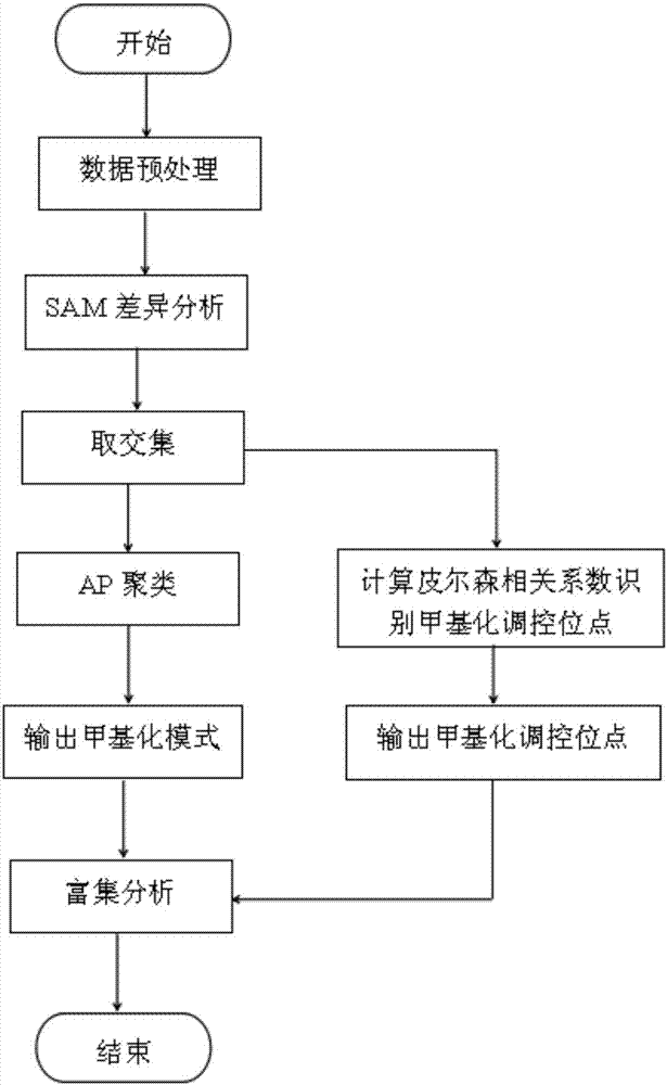 一種利用全基因組數(shù)據(jù)挖掘甲基化模式的方法與流程