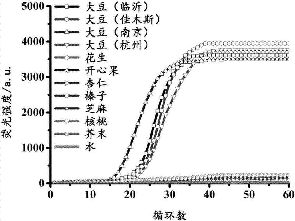 一種用于檢測大豆過敏原Gly m Bd 28K基因的LAMP引物組合物及其試劑盒的制作方法與工藝