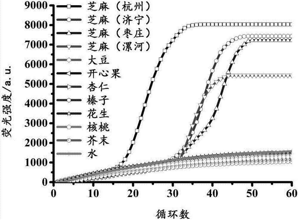 一種用于檢測芝麻過敏原2S albumin基因的LAMP引物組合物及其試劑盒的制作方法與工藝