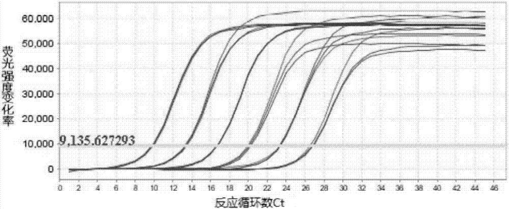 一種多環(huán)芳烴污染土壤中外源降解菌的施加方法與流程