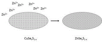 一种ZnSexS1‑x合金量子点及其制备方法与流程