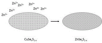 一種ZnSexS1?x合金量子點及其制備方法與流程