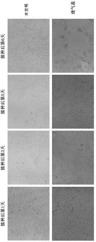 過CO2多層細胞培養(yǎng)瓶人二倍體細胞貼壁培養(yǎng)方法與流程