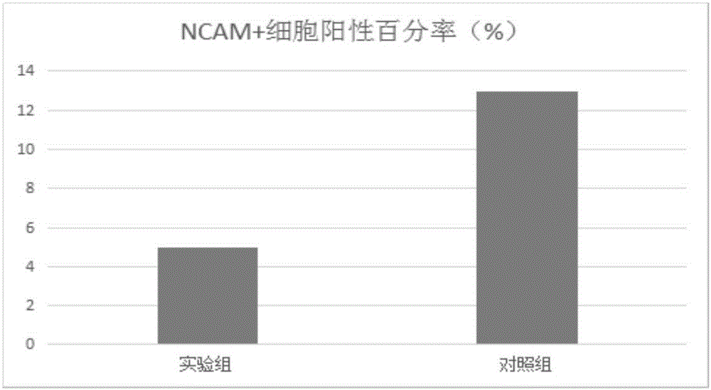 iPS细胞分化成外胚层祖细胞的无血清诱导培养基及诱导方法与流程