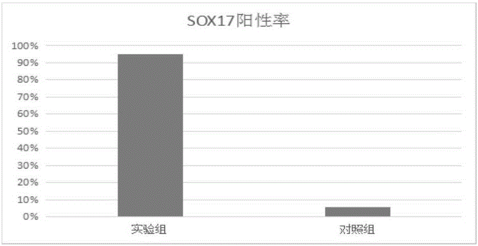 iPS细胞分化成内胚层祖细胞的无血清诱导培养基及诱导方法与流程