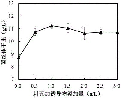 一种刺五加提取物诱导发酵黑木耳菌及其菌丝体制备方法与流程