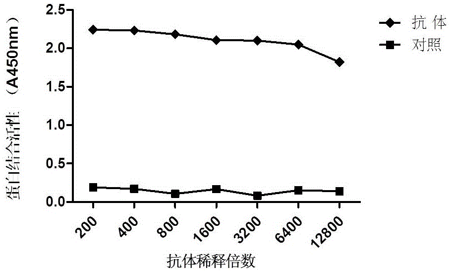 小鼠抗人MDR?1單克隆抗體及分泌該單克隆抗體的雜交瘤細胞株的制作方法與工藝