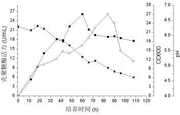 一种利用芽孢杆菌HS17发酵生产壳聚糖酶的方法及其应用与流程