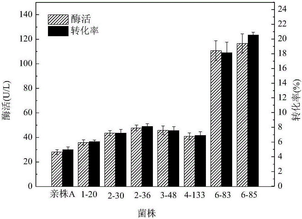 一種panD突變基因、編碼蛋白、載體、工程菌及其應(yīng)用的制作方法與工藝