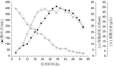 一種利用芽孢桿菌HS17發(fā)酵生產(chǎn)膠原蛋白酶的方法及其應(yīng)用與流程