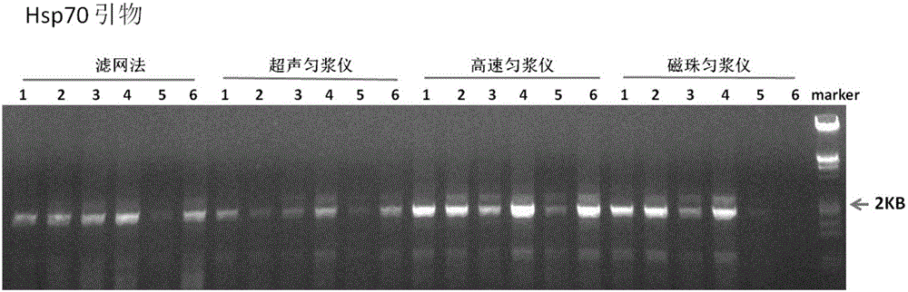 x技术 最新专利 有机化合物处理,合成应用技术 :血凝块抽提dna之前