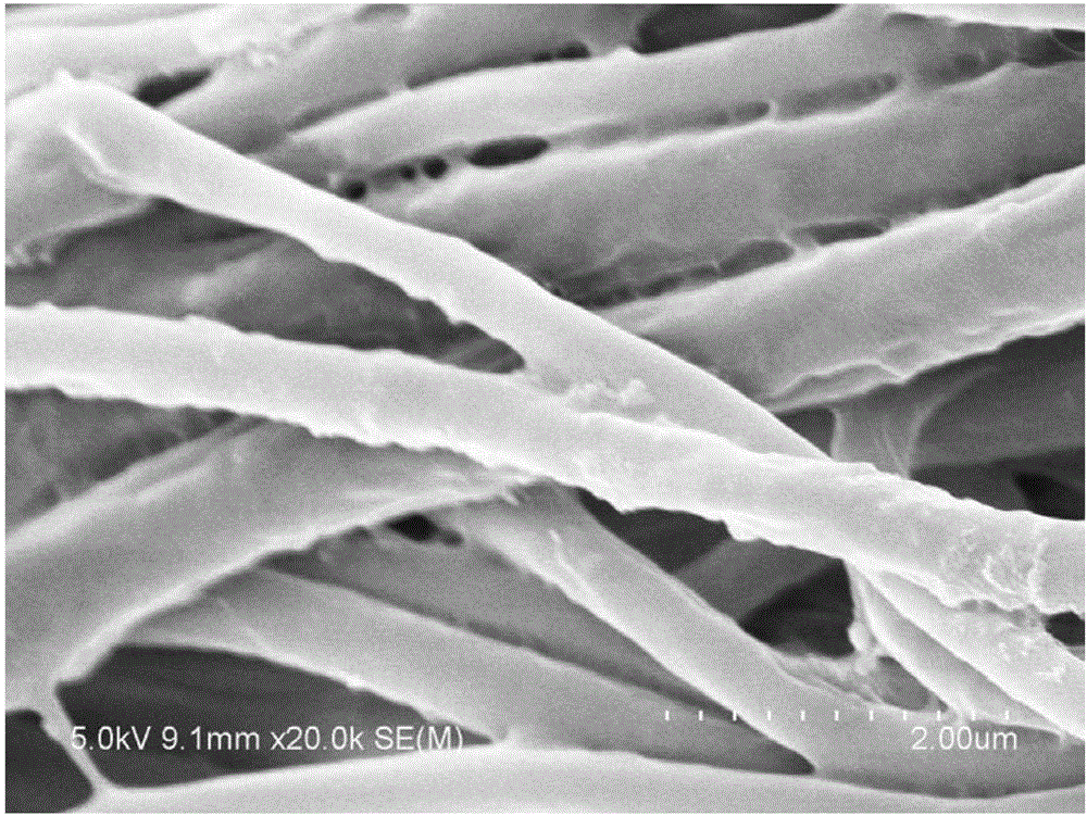 一种透明质酸混纺纳米纤维固定酶的制备方法与流程