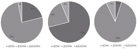 一种藻类高质量细胞核和细胞器DNA的分离方法与流程