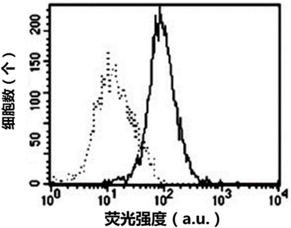 卵巢粘液性癌细胞3AO的核酸适配体WYZ‑2及其筛选方法和应用与流程