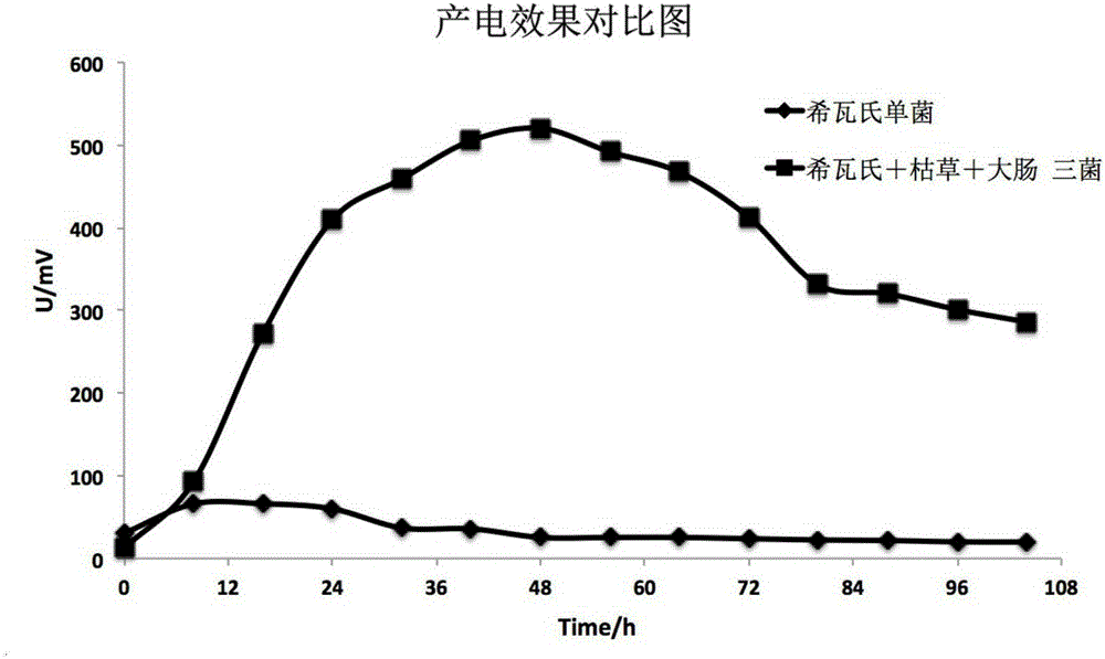 含有該混合菌群的微生物產(chǎn)電體系和微生物燃料電池的制作方法與工藝